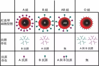 血型也分贵贱？O型血的人真的就“高人一等”？