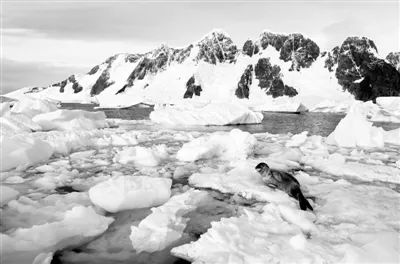 南极极地变暖程度达全球平均水平3倍多