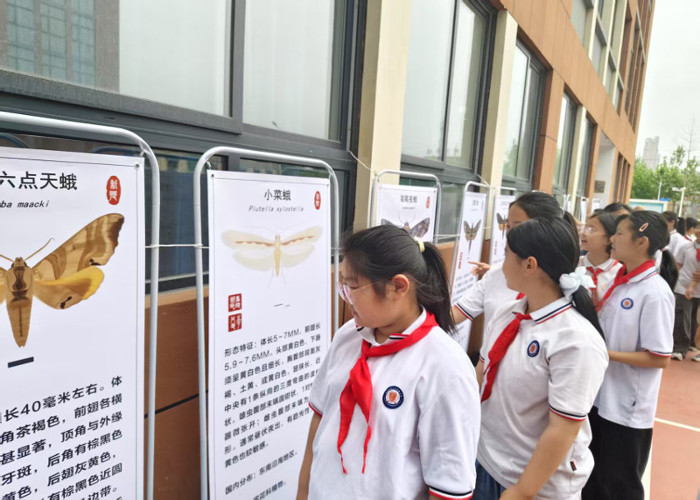 揭秘蝶蛾奥秘     共筑生态文明                             ——新乡市“蝶舞自然  探秘生命”科普巡展活动正式启动 