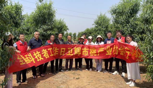 全国科技工作者日卫辉市桃产业协会在行动