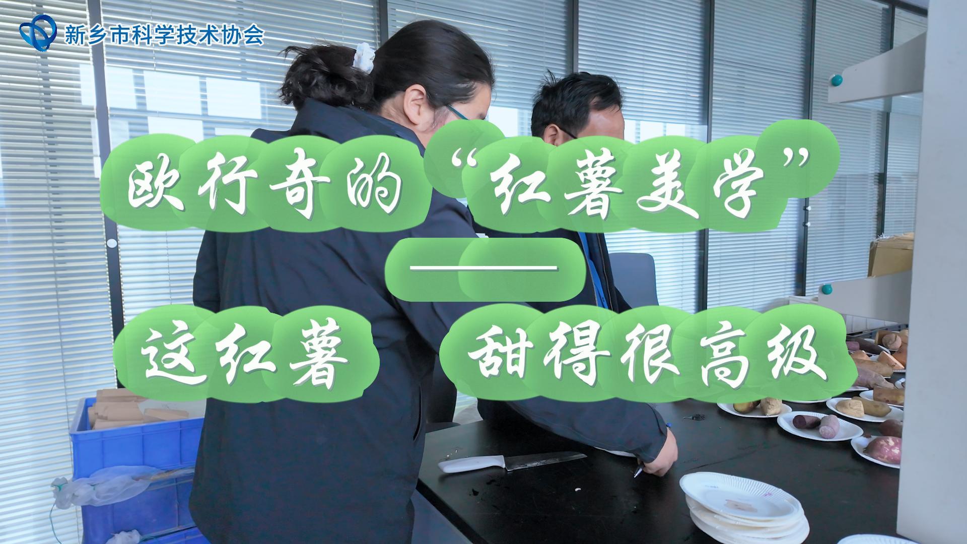 欧行奇的“红薯美学”——这红薯，甜得很高级