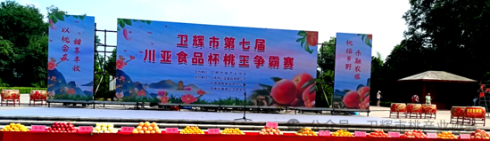 卫辉农技协：智启桃园景 果香兴万家