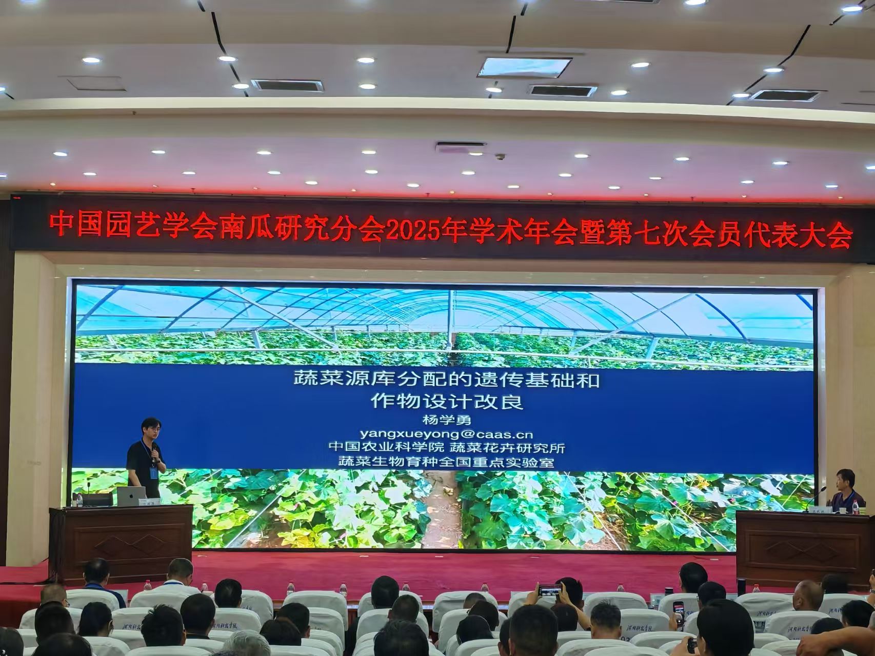 南瓜年会3