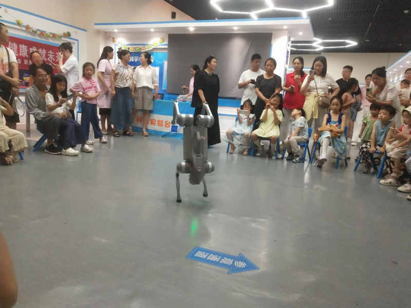 图片4