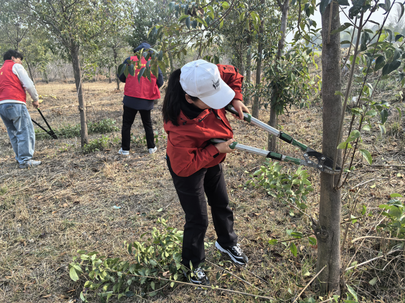 市科协组织开展“党建引领 共‘树’家园”义务植树主题党日活动22